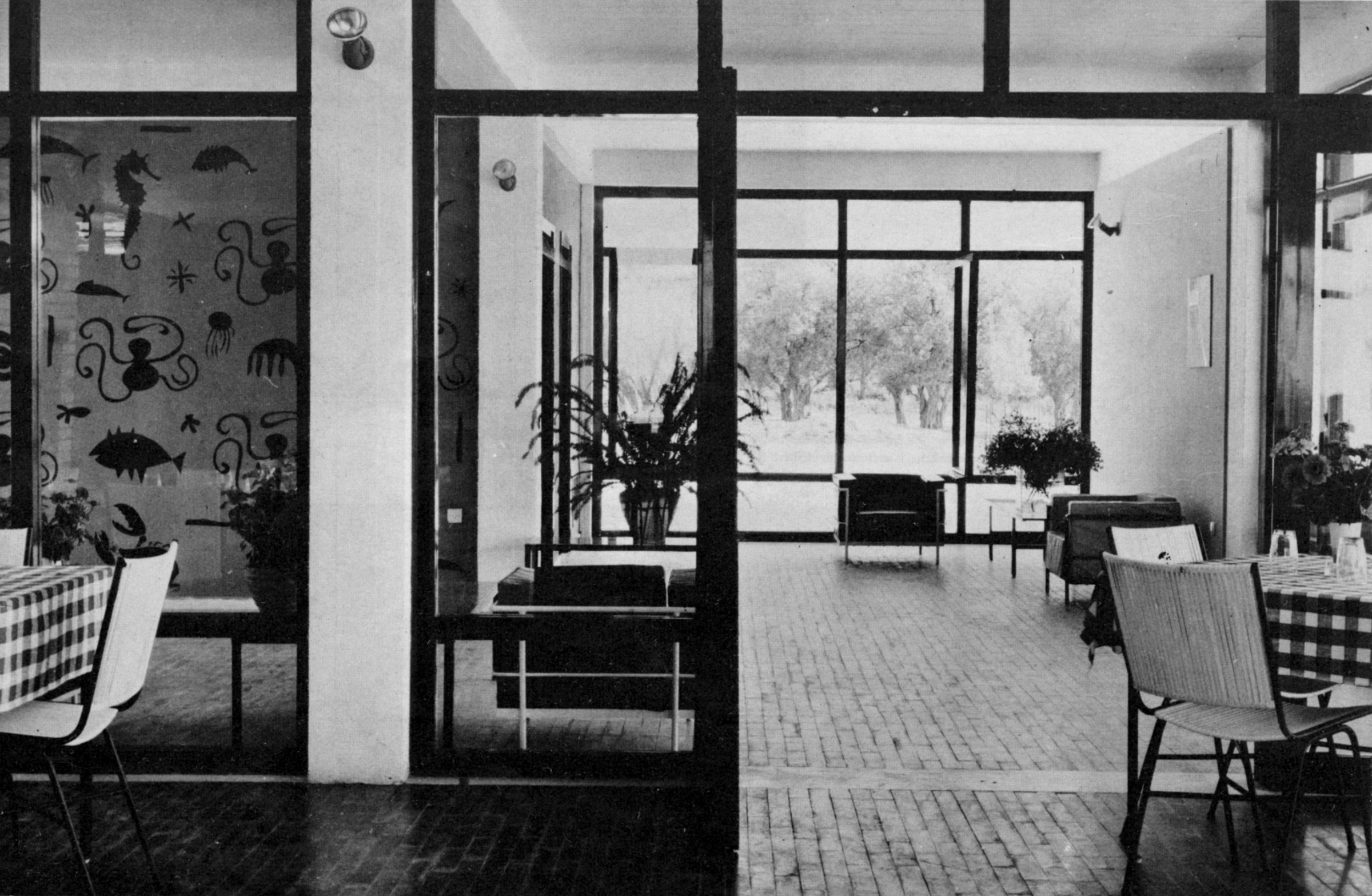 XENIA HGOUMENITSAS.jpg